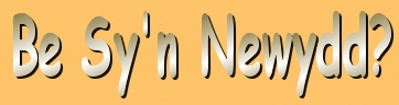 enw.jpg (26836 bytes)