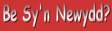 enw.jpg (27221 bytes)